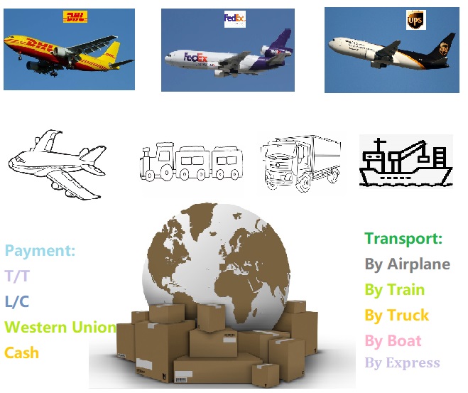 TRANSPORT 04