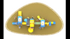 outdoor playground equipment amusement park play HT-14016