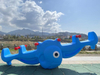 plastic seesaw for children SLWJ-243