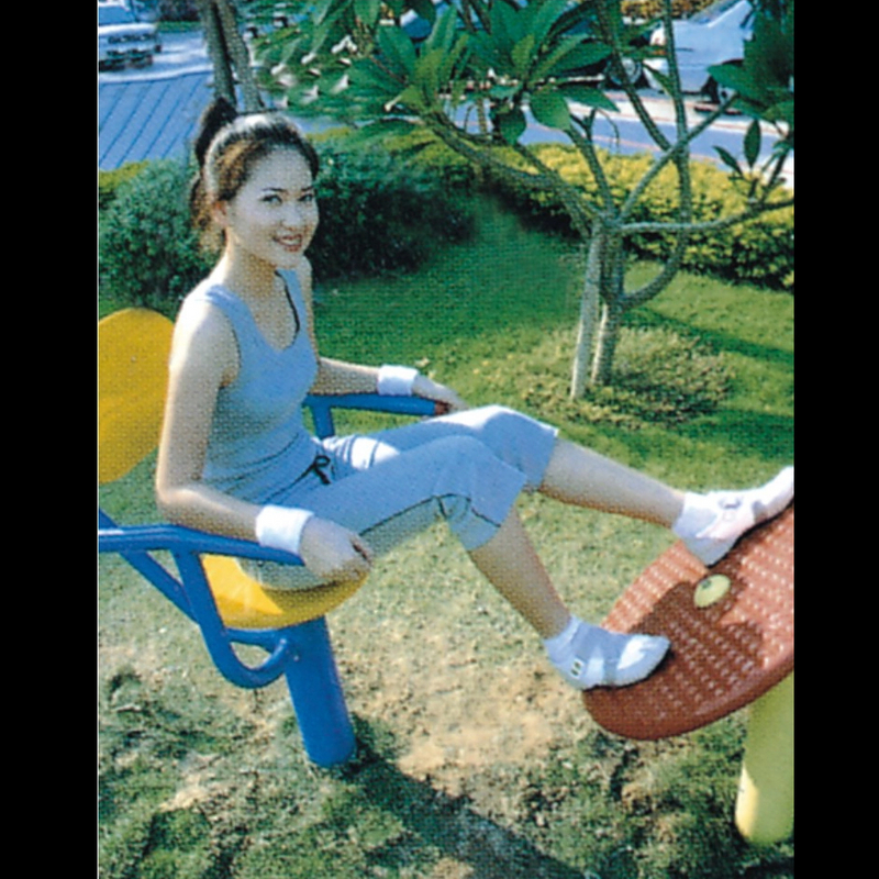 adult outdoor fitness equipment JS-218