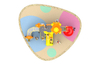 commercial outdoor play equipment HT-89031