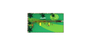 daycare outdoor playground equipment TN-097