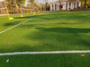 artificial grass QTYL-009