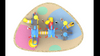 Themed Playground Equipment HT-14034